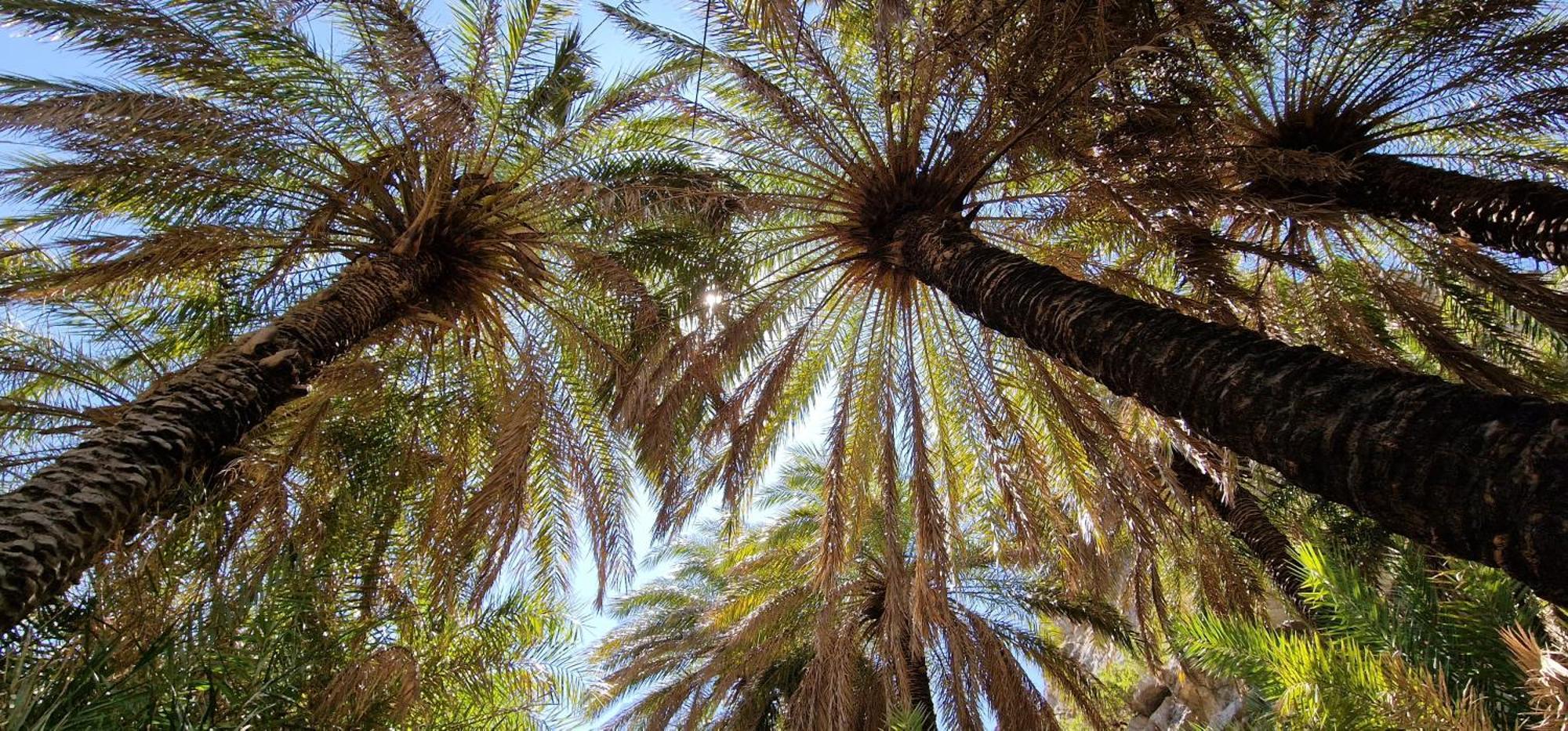 Villa Erofili Plakias South Rethimno Crete Asomatoi Екстериор снимка